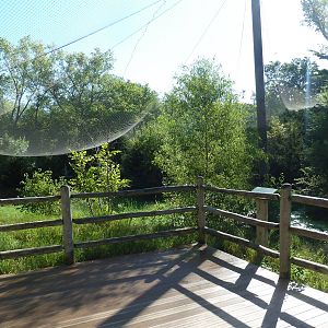 0.5 Acre Bald Eagle Aviary
