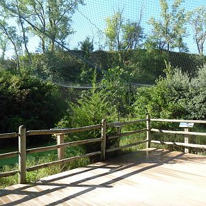 0.5 Acre Bald Eagle Aviary