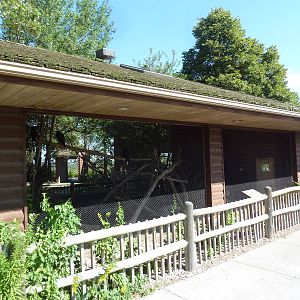 Hawk Exhibit: Red-Tailed/Rough-Legged/Swainson's