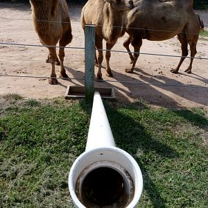 Food Express - August 2014