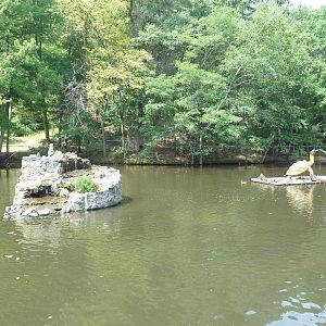 Waterfowl Pond