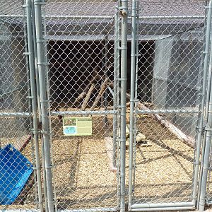 North American Porcupine Cage