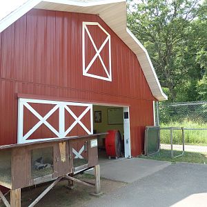 Farmyard - Barn