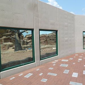 Bengal Tiger Exhibit