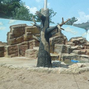 Bengal Tiger Exhibit