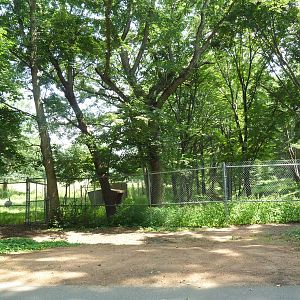Multi-Acre Elk Exhibit