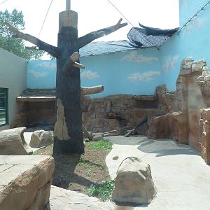 Spotted Hyena Exhibit