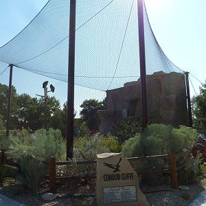 Condor Cliffs - California Condor Aviary