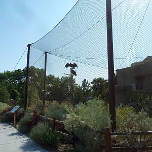 Condor Cliffs - California Condor Aviary