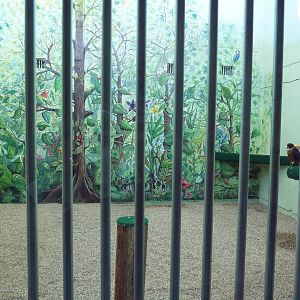 Interpretative Center - Orange-Breasted Falcon Exhibit