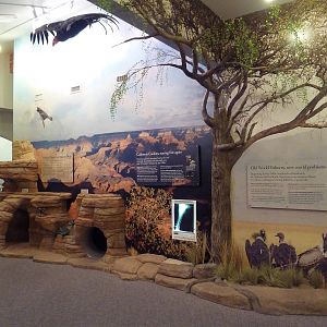 Interpretative Center