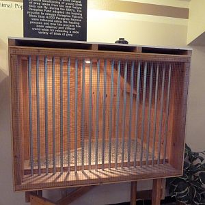 Interpretative Center - Hack Box