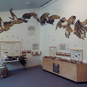 Interpretative Center
