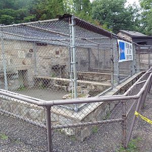 Future North American River Otter Exhibit