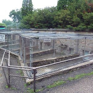 Future North American River Otter Exhibit