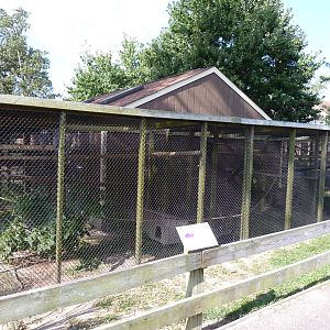 Small Primates Exhibit - August 2014