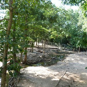 Himalayan Tahr/Armenian Mouflon/Blackbuck/Mishmi Takin Exhibit