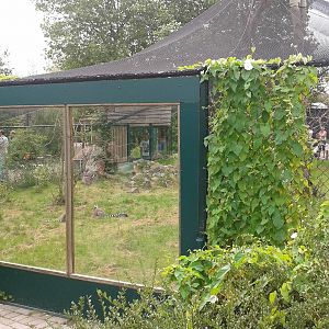 Lemur walk-through from the outside