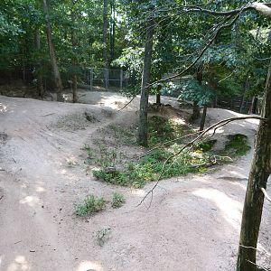Pronghorn Exhibit - August 2014