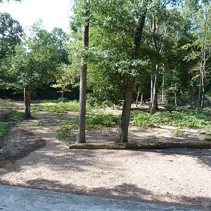 Elk Exhibit - August 2014