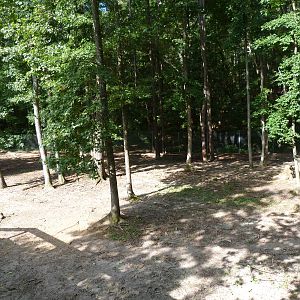 Bighorn Sheep Exhibit (Partial View) - August 2014