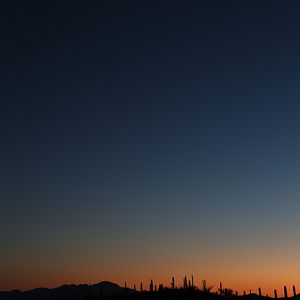 night zoo - Aug 30, 2014