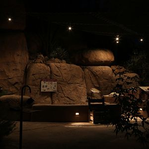 night zoo - Aug 30, 2014