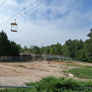 Grant's Zebra Exhibit - August 2014