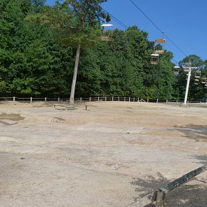 White Rhino Exhibit - August 2014