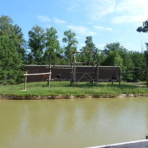 Chimpanzee Exhibit - August 2014