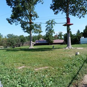 Kangaroo/Emu Exhibit - August 2014
