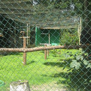 Filmtierpark - Bird of prey aviary