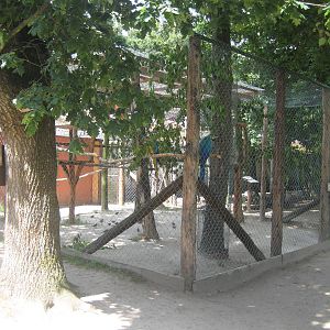Filmtierpark - Macaw aviary