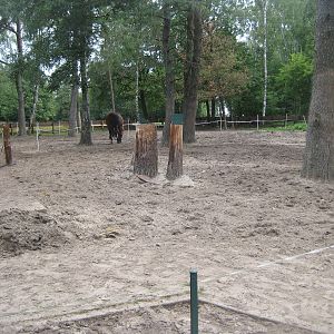 Filmtierpark - Horse exhibit