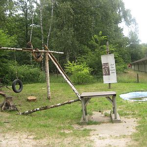 Filmtierpark - Raccoon exhibit
