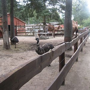 Filmtierpark - Mixed exhibit