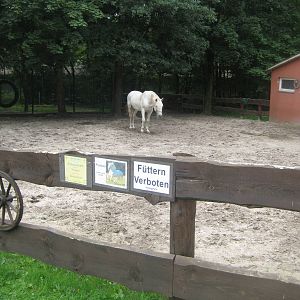 Filmtierpark - Horse exhibit