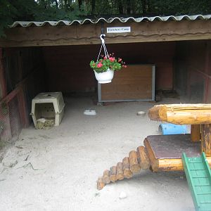 Filmtierpark - Ferret exhibit