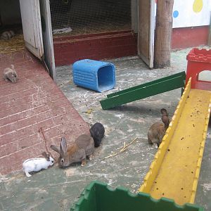 Filmtierpark - Rabbit exhibit