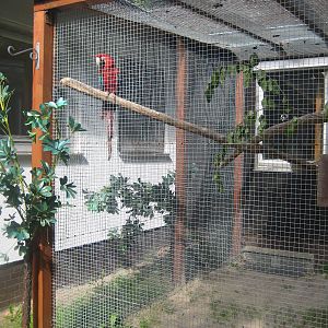 Filmtierpark - Macaw aviary
