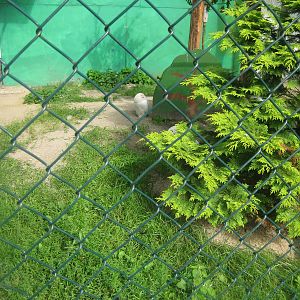 Filmtierpark - Owl aviary