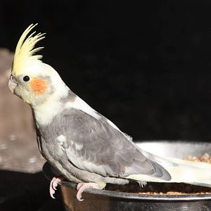 Kissed by the sun, 30th August 2014