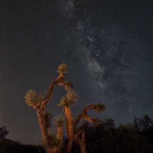 Milky Way from zoo grounds