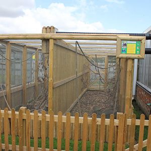 Geoffreys and Common marmoset enclosures 15-8-14