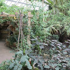 Tropical House 15-8-14