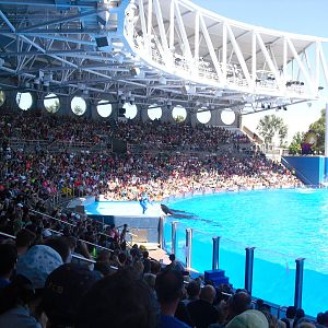 Shamu Stadium at SeaWorld Orlando