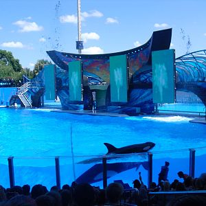 Shamu Stadium at SeaWorld Orlando