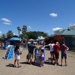 View Upon Entry at SeaWorld Orlando