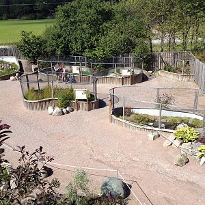 The Wetland - Outdoor exhibits