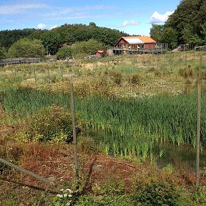 The Wetland - Crane field